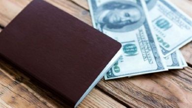 تامین ارز مسافرتی برای مدیریت تقاضای بازار ارز ضروری است