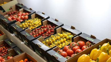 رشد ۲۳ درصدی صادرات محصولات غذایی و کشاورزی/ ۲۰ مقصد نخست محصولات کشاورزی