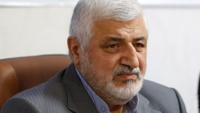 دولت مراقب تلههای ارزی باشد