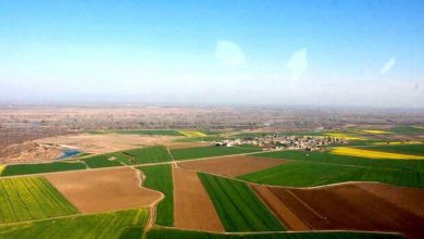 فعالیت‌ واحدهای گشت حفاظت از اراضی کشاورزی در ایام نوروز افزایش می یابد