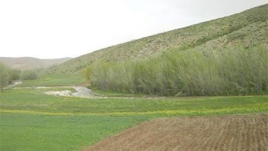 سنددار شدن اراضی تصرف سکونتگاههای غیررسمی