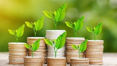 ۷۱ درصد دانشبنیانها هیچ وام فعالی در سیستم بانکی ندارند