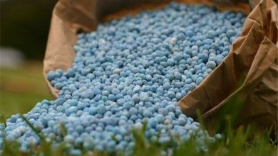 بیش از ۲۷ تن کود شیمیایی قاچاق در گیلان کشف شد