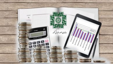 وصول درآمدهای مالیاتی بدون فشار به اصناف با تاکید بر شناسایی فرارهای مالیاتی