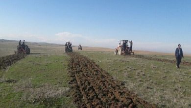 یک هزار و ۶۷۵ هکتار اراضی ملی در استان اردبیل رفع تصرف شد