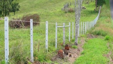 رفع تصرف اراضی ۱۳۰ میلیاردی در تالش