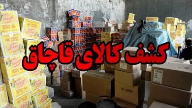 کشف محموله میلیاردی ابزار و یراق قاچاق در ملایر