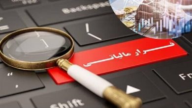 فرار مالیاتی ۱۱ میلیاردی در انار کرمان کشف شد