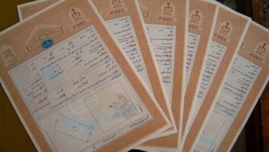 حذف سند تکبرگ چه مزایایی دارد؟