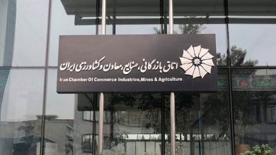 بخش خصوصی باید تقویت شود