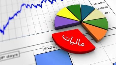 رشد درآمدهای مالیاتی با جلب مشارکت‌های مردمی/ وصول ۱۹۵ همت مالیات در بهار ۱۴۰۳