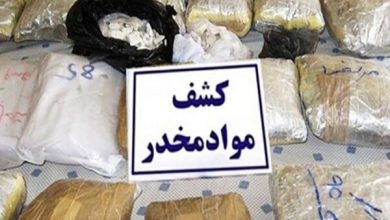 ۸۹۰ کیلوگرم موادمخدر در بوشهر کشف شد