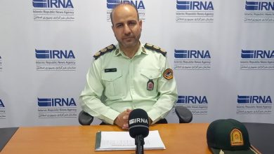 افزایش ۲۱ برابری کشف قاچاق چوب در قزوین