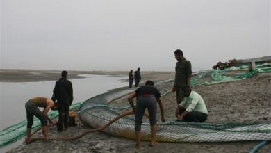 کشف ۲۵۰ هزار لیتر سوخت قاچاق در خلیج فارس