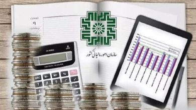 آیا نسل Z موافق اداره کشور با مالیاتهای مردم است؟