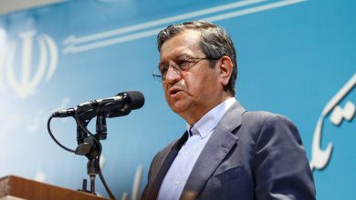 همتی: به بانک مرکزی در مهار تورم کمک می‌کنیم