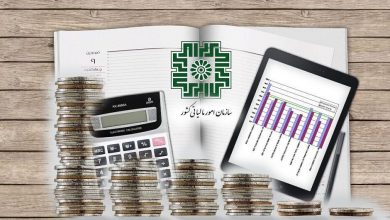 تشخیص‌های حرفه‌ای مبتنی بر مقررات، اولویت ادارات کل امور مالیاتی است