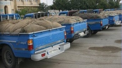 توقیف ۲۰ دستگاه نیسان حامل سوخت قاچاق در میناب