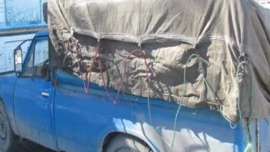 کشف محموله ۱۰ میلیارد ریالی کالای قاچاق در میامی