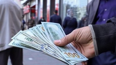 واکاوی تجربه تلخ بحران ارزی ۹۷/ نگذاریم تاریخ تکرار شود