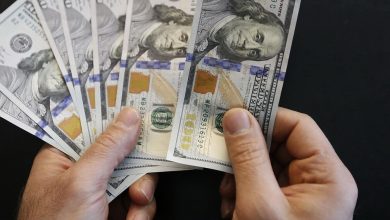 تصمیم دولت در حذف ارز نیما شجاعانه بود