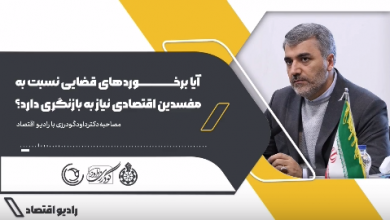 مصاحبه دکتر داود گودرزی با رادیو اقتصاد من باب برخوردهای قضایی نسبت به مفسدین اقتصادی