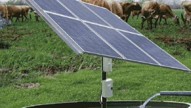 امکان تولید پنج هزار مگاوات برق خورشیدی با تامین مالی فراهم است