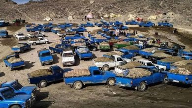 کشف بیش از یک‌میلیون لیتر سوخت قاچاق در هرمزگان؛ ۱۵۰ خودروی شوتی توقیف شد