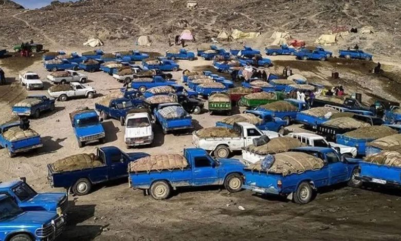 کشف بیش از یکمیلیون لیتر سوخت قاچاق در هرمزگان؛ ۱۵۰ خودروی شوتی توقیف شد