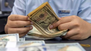 جریمه ۵۴ میلیارد ریالی برای قاچاقچی ارز در تبریز