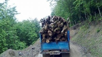 دستگیری قاچاقچیان چوب در جنگل‌های ارسباران