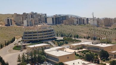 رونق تولید در شرکت های دانش بنیان