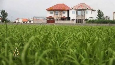 پدیده زمینخواری در قزوین