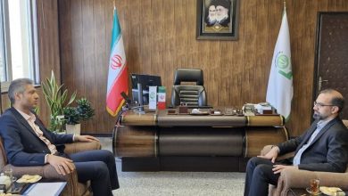 جذب سرمایهگذاری خارجی در خراسان جنوبی