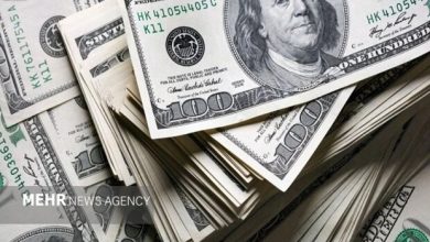 کشف دلار قاچاق در فرودگاه اصفهان