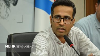 اقتصاد هنر، موتور توسعه پایدار مناطق آزاد