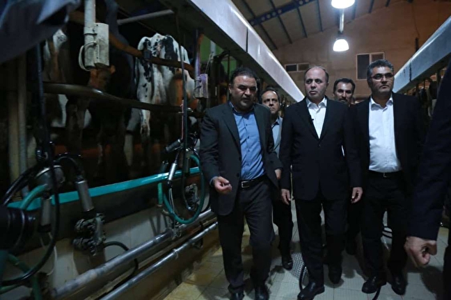 شرکت کشت و صنعت و دامپروری مغان