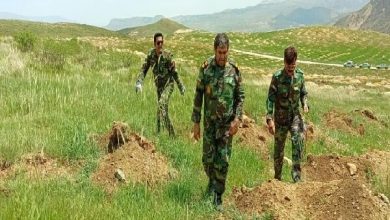 رفع تصرم اراضی در شهرستان بویراحمد