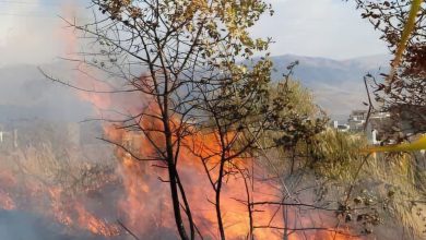 آتشسوزی مراتع و جنگلهای چیتاب بویراحمد مهار شد