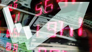 لزوم نگاه سیستمی در مدیریت اقتصاد؛ تجربه و دانش، هر دو لازم است