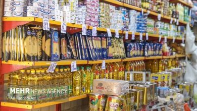 ذخایر راهبردی کشور برای ۶ ماه آینده تأمین شده است