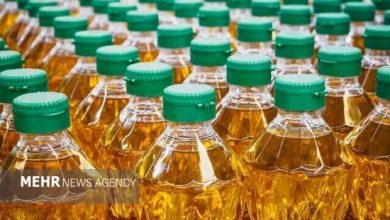 تولید روغن رکورد زد