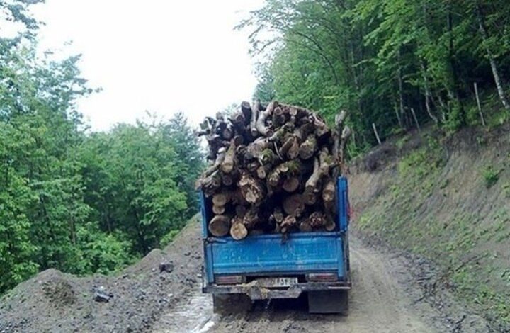 کشف ۹۸ تن چوب و زغال قاچاق در اصفهان؛ ۱۱۸ هکتار عرصه طبیعی رفع تصرف شد