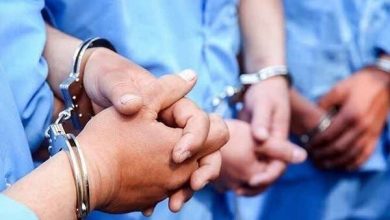 توقیف ۲ خودروی حاوی ۶۰۰ کیلوگرم آرد قاچاق در سمنان