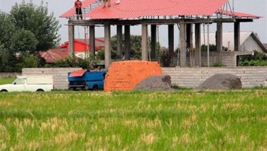 روند نگرانکننده تغییر کاربری اراضی کشاورزی در گیلان