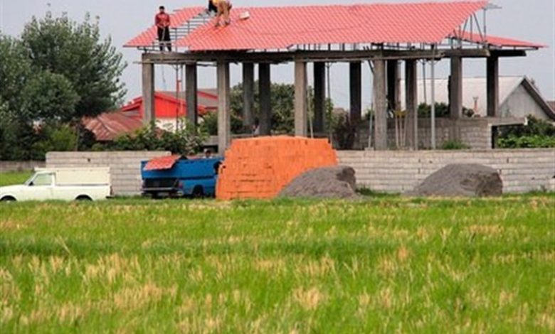 روند نگرانکننده تغییر کاربری اراضی کشاورزی در گیلان