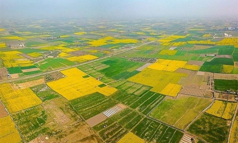 رفع تصرف ۱۱ مورد زمینخواری در ۵ شهرستان خوزستان