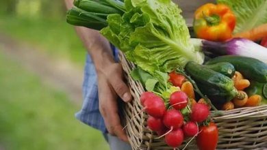 مواد غذایی تراریخته