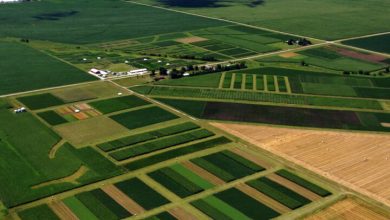 ۴۲ هزار مترمربع از اراضی کشاورزی و باغات لرستان رفع تصرف شد