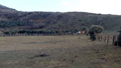 کشف زمین خواری ۱۲۰ میلیارد ریالی در رودبار